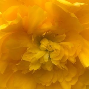 Meet your Posher, Ava